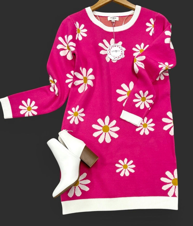 "Daisy" Sweater Dress - The Katie Grace Boutique